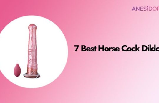 7 Best Horse Cock Dildos
