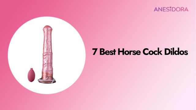 7 Best Horse Cock Dildos