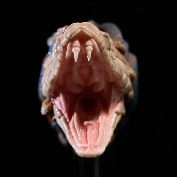 Medusa Head Male Maturbator  - Unique Desgin