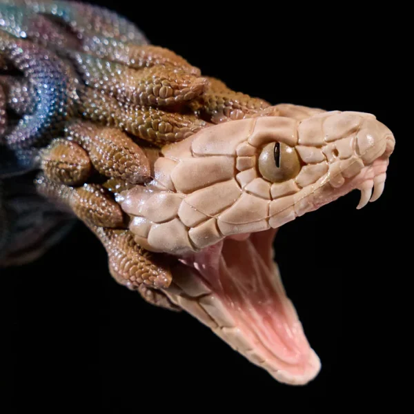 Medusa Head Male Maturbator  - Unique Desgin