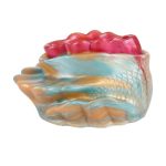 Mermaid ’s Vulva  - Fantasy Male Stroker