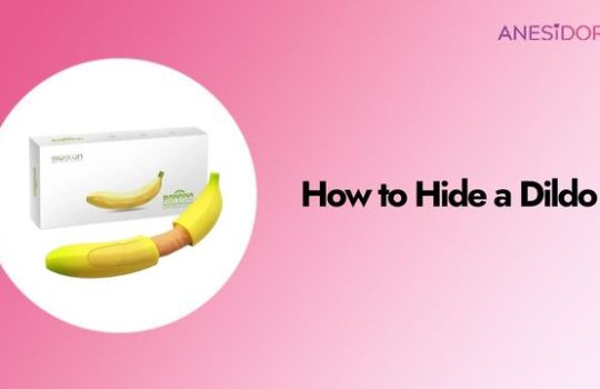 How to Hide a Dildo main