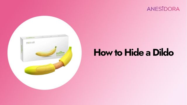 How to Hide a Dildo main