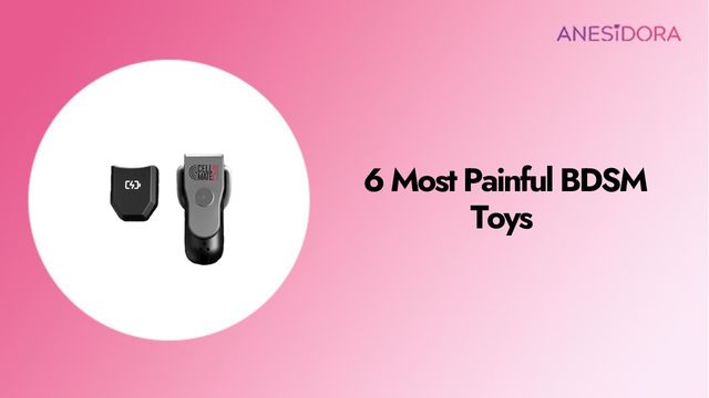 6 Most Painful BDSM Toys