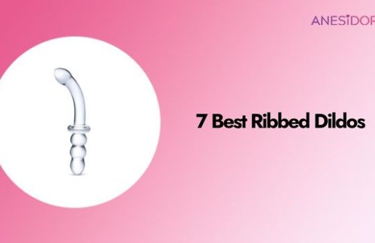 7 Best Ribbed Dildos
