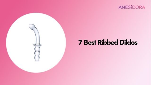 7 Best Ribbed Dildos