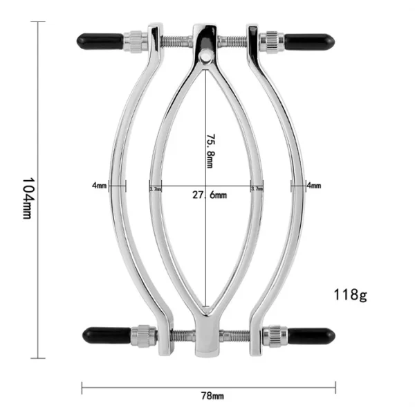 Anesidora Metal Pussy leash