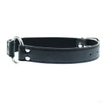 O-Bound - Metal Ring Gag 3 Colors