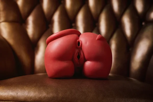 Succubus Thick Ass Sex Torso for Male