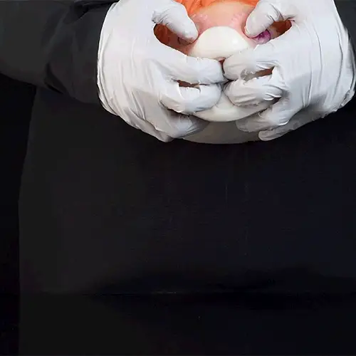 Sunny Equine - Pony Horse Blowjob Toy (Furry Fandom)