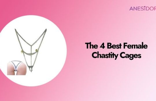 The 4 Best Female Chastity Cages A Complete Buyer’s Guide