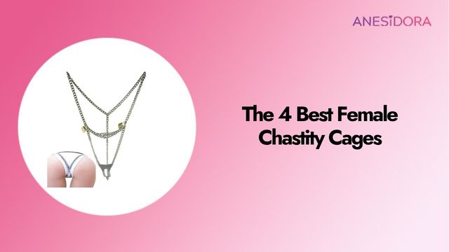 The 4 Best Female Chastity Cages A Complete Buyer’s Guide