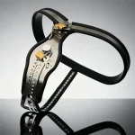 The Heart - Stainless Steel Chastity Belt