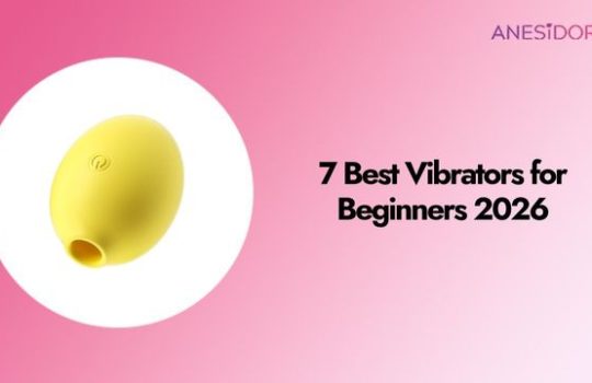 7 Best Vibrators for Beginners 2026