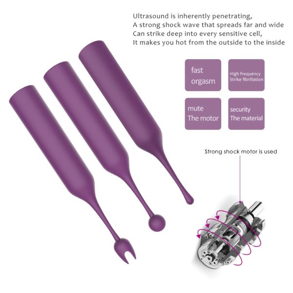 Celebrator - Replaceable Tips Vibrator