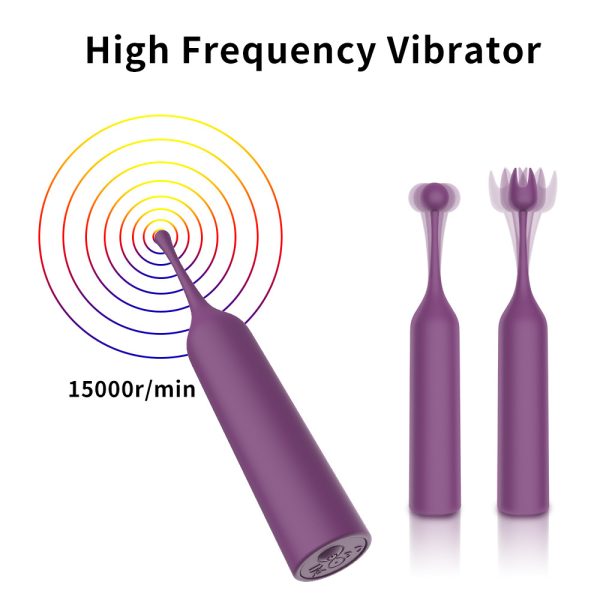 Celebrator - Replaceable Tips Vibrator