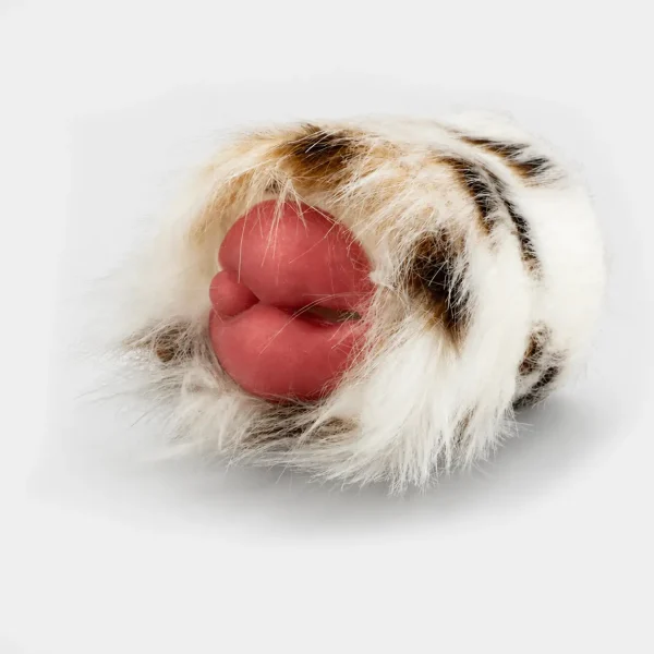 Furry Zoo Series - Dalmatian Puppy Pussy