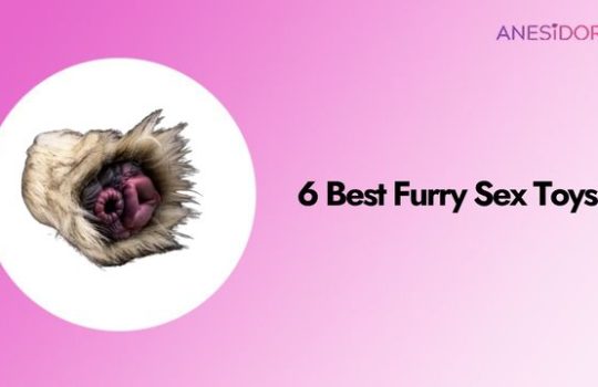 6 Best Furry Sex Toys