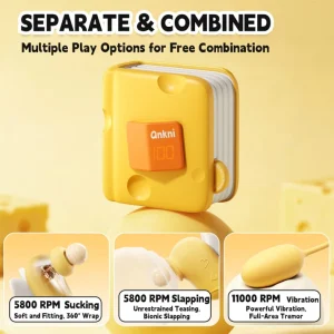 Cheese Book - Cute Design Vibrator