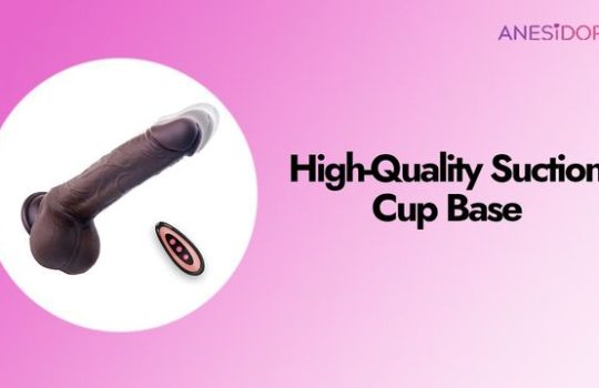 Hands-Free Play The Mechanics of a High-Quality Suction Cup Base