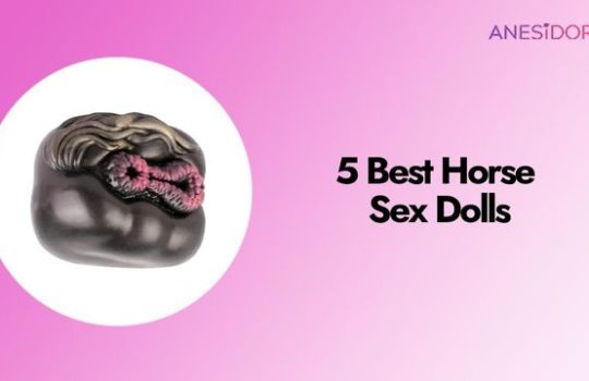5 Best Horse Sex Dolls