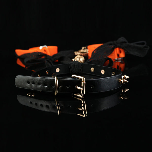Anesidora Breast Bondage With Rivet Collar