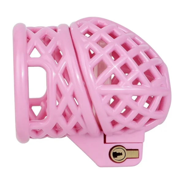 Birdcage - Mesh Design Chastity Devices