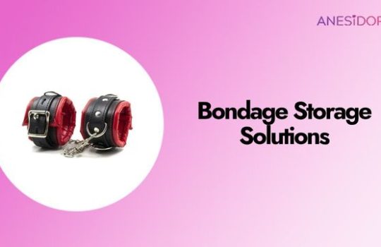 Bondage Storage Solutions