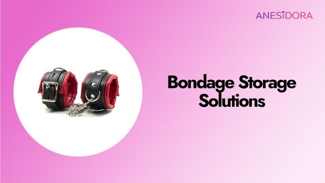 Bondage Storage Solutions