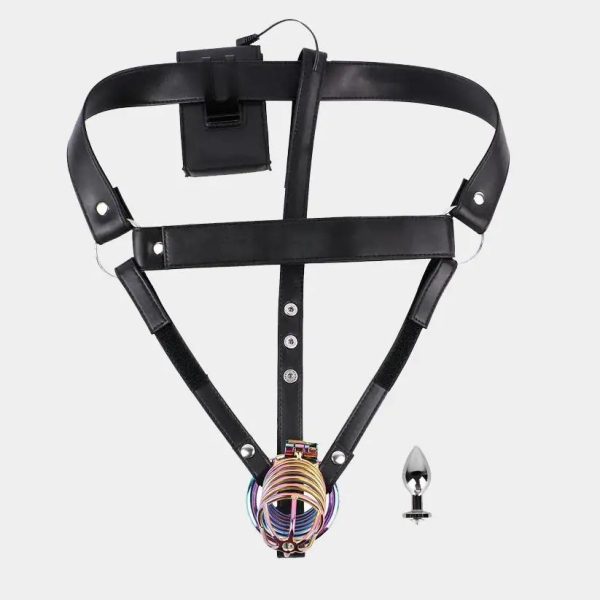 Anesidora Electric Shock Cock Cage with Butt Plug