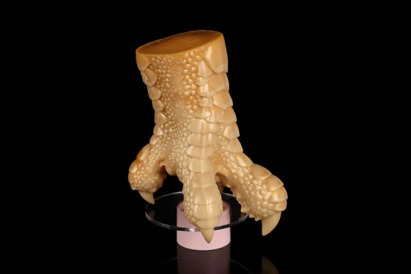 Falcon Claw - Eagle Theme Fantasy Male Stroker