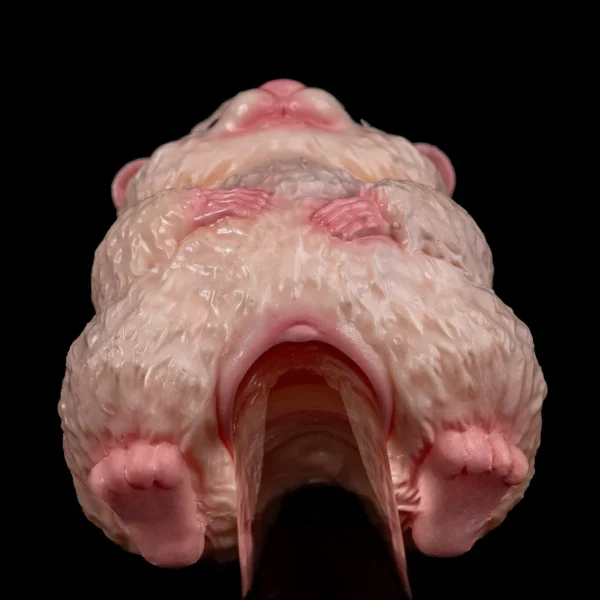 Furry Hamster - Liquid Silicone Mini Sex Doll
