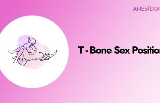 T-Bone Sex Position A Lazy Setup for Deep Stimulation