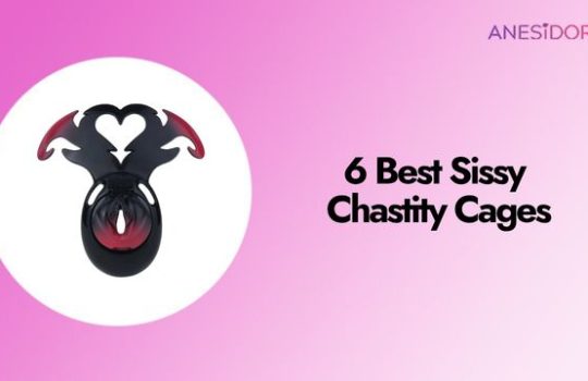 6 Best Sissy Chastity Cages