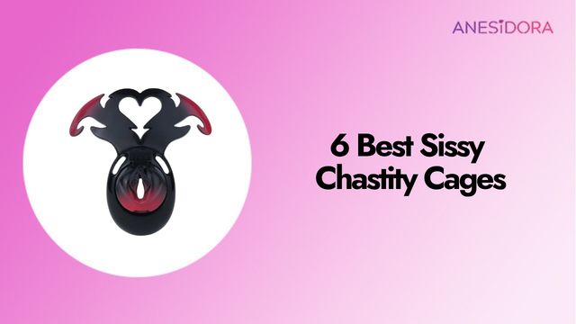 6 Best Sissy Chastity Cages