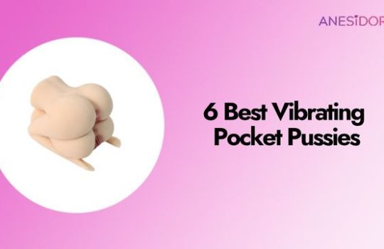 6 Best Vibrating Pocket Pussies