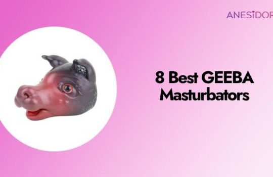 8 Best GEEBA Masturbators