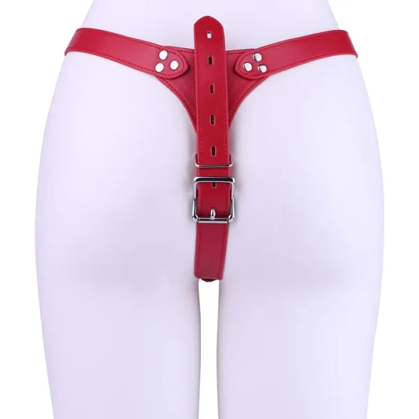 Faak - Rainbow Shell Flat Cage With Strap On
