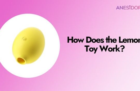 How Does the Lemon Toy Work