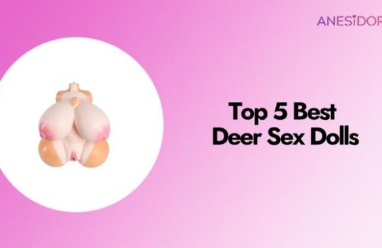 Top 5 Best Deer Sex Dolls