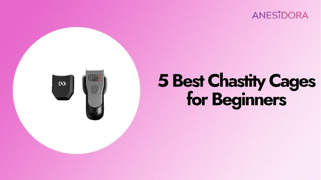 5 Best Chastity Cages for Beginners