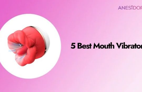 5 Best Mouth Vibrators