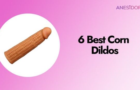 6 Best Corn Dildos
