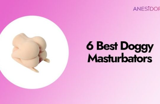 6 Best Doggy Masturbators