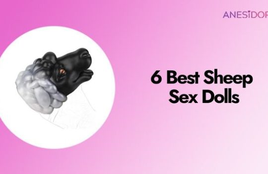 6 Best Sheep Sex Dolls