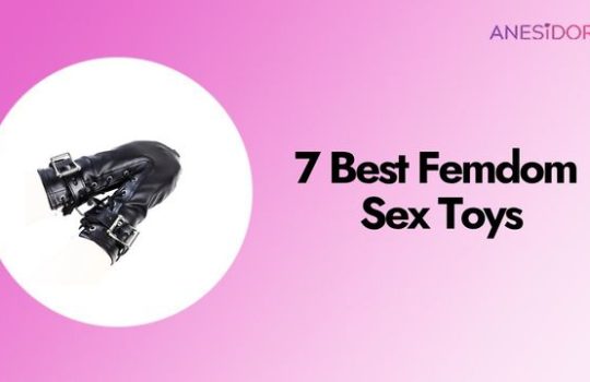 7 Best Femdom Sex Toys