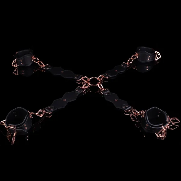 Anesidora Prime Series - Real Leather Bondage Collection