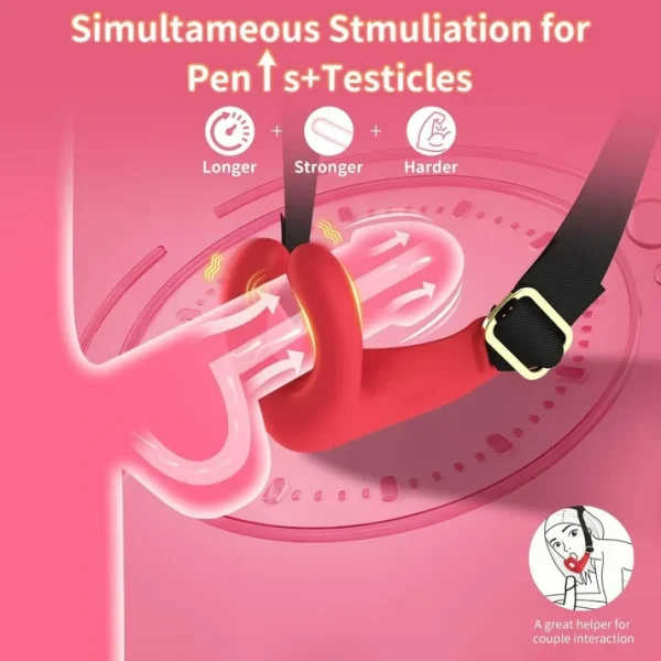Anesidora Vibrating Gag for Blow Job