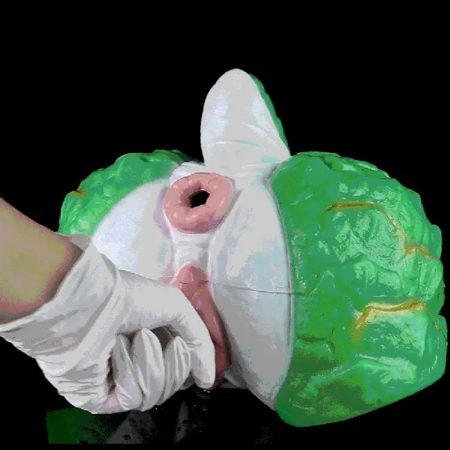 Dino Princess Onahole - Full-Sized Sex Torso