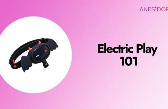 Electric Play 101
